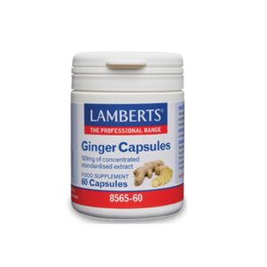Lamberts Ginger 60caps